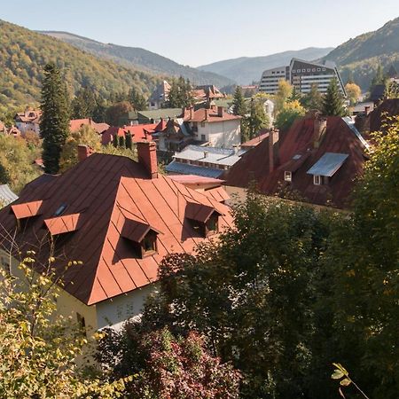 Rustic Regal Leilighet Sinaia Eksteriør bilde